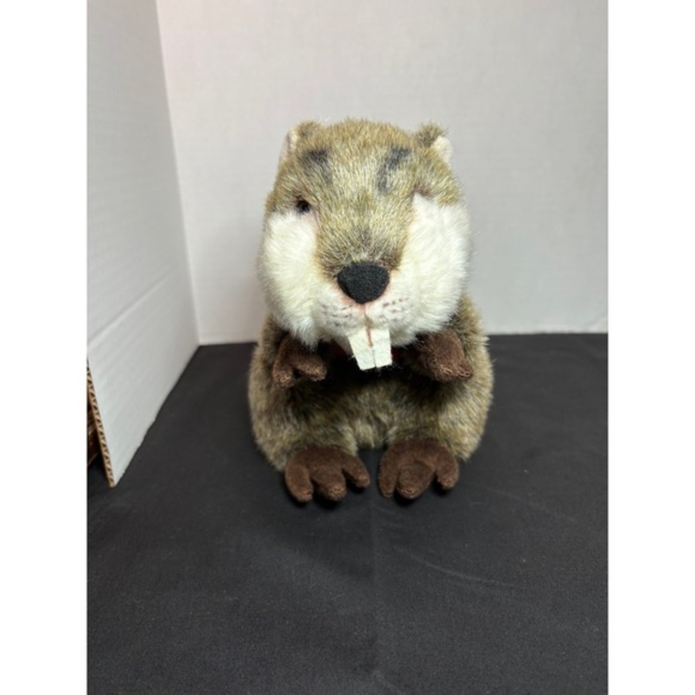 "Angry‎ Beaver"
